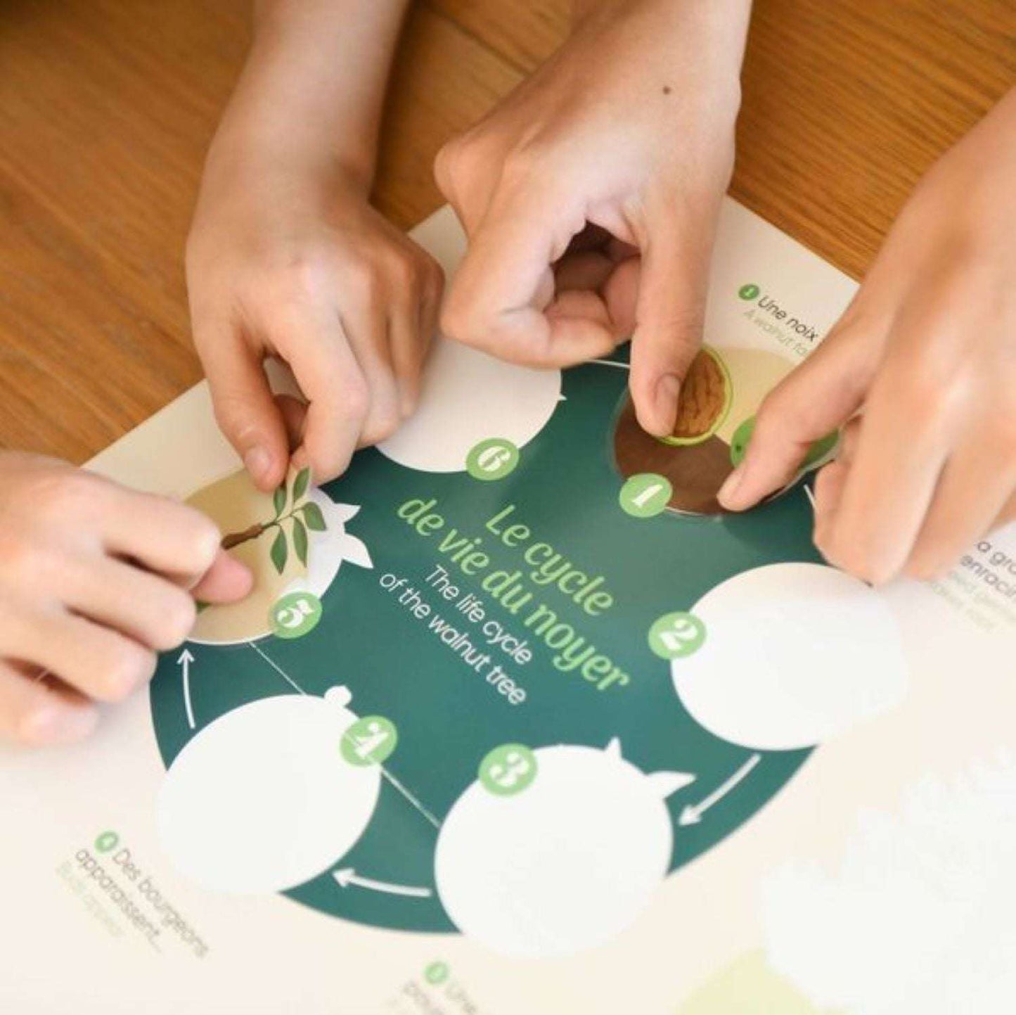 Children applying stickers on an educational tree poster by Poppik, suitable for ages 6 and up.