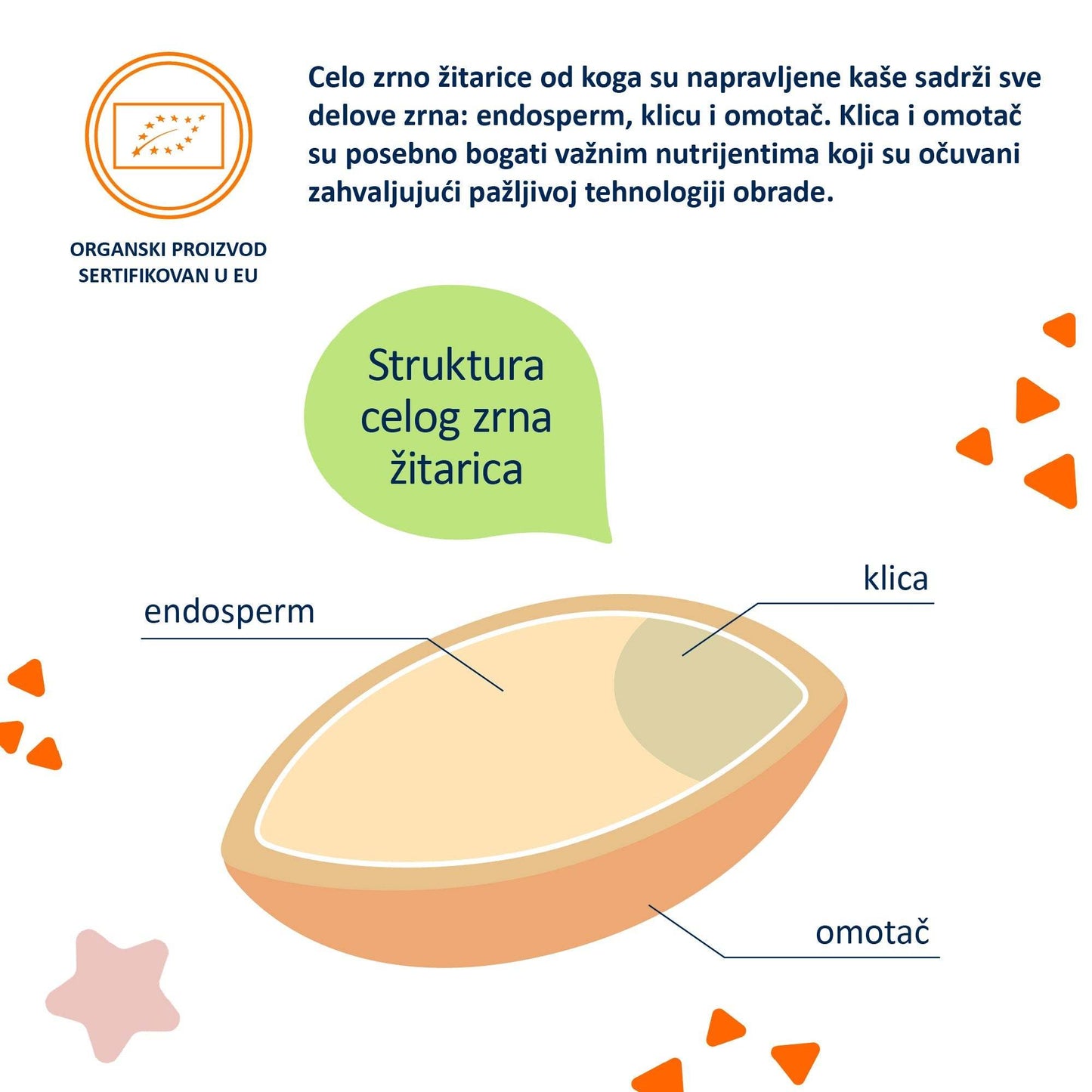 Diagram showing the structure of a whole grain used in organic porridge, highlighting endosperm, germ, and bran, with certification stamp indicating EU organic product.