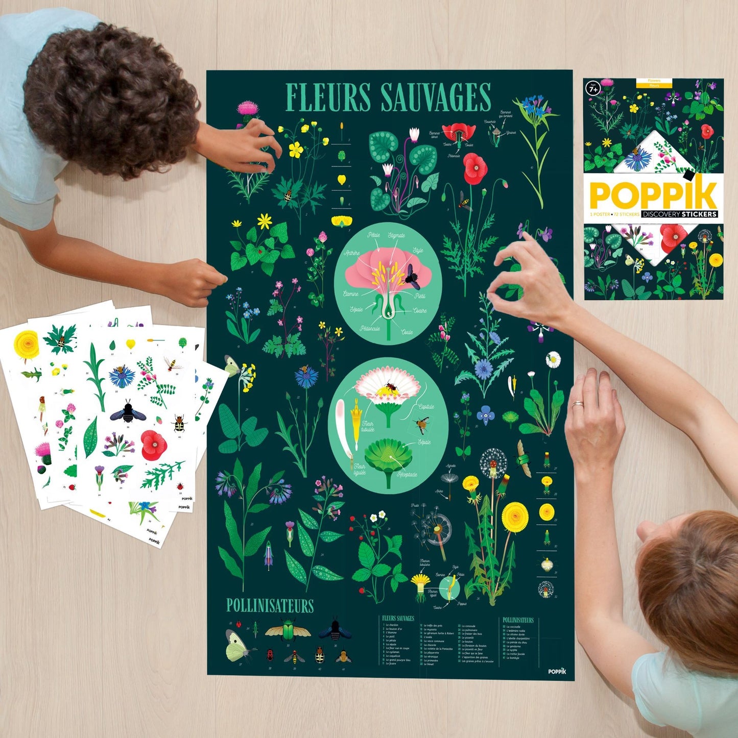 POPPIK Edukativni poster s nalepnicama Otkrića: Botanika 7+
