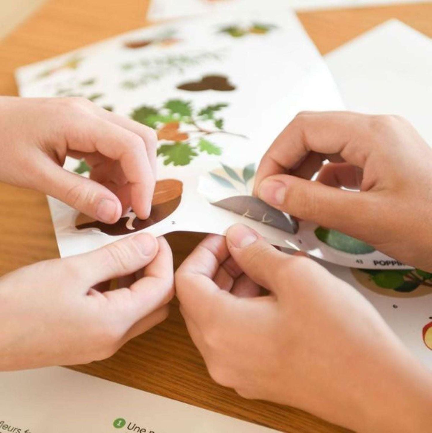 Children placing stickers on Poppik educational poster about tree discoveries, suitable for ages 6 and up.