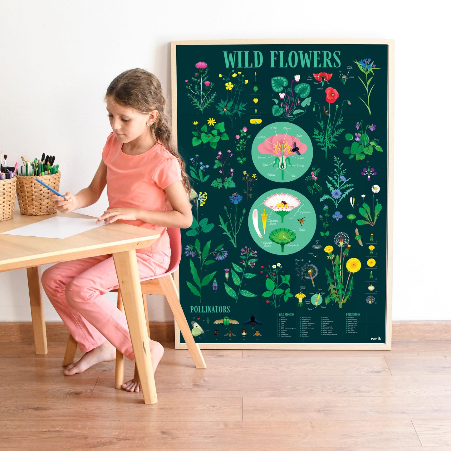 POPPIK Edukativni poster s nalepnicama Otkrića: Botanika 7+