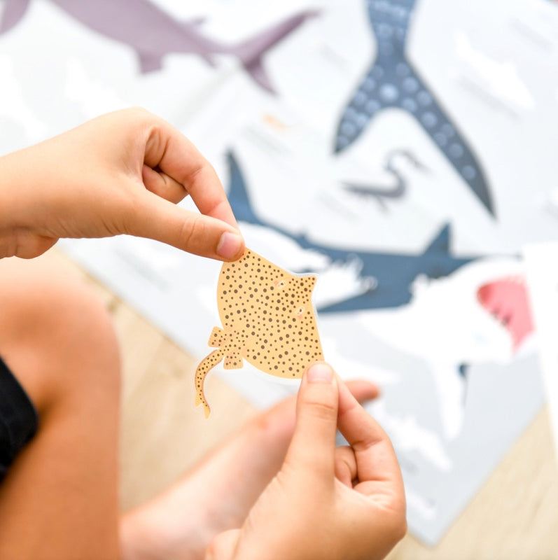 Child holding reusable sticker for educational shark poster.