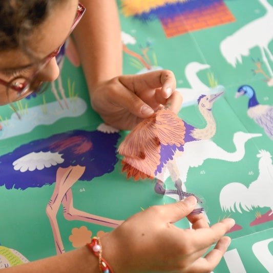 Child placing bird sticker on Poppik educational poster about birds, engaging and decorative learning activity.