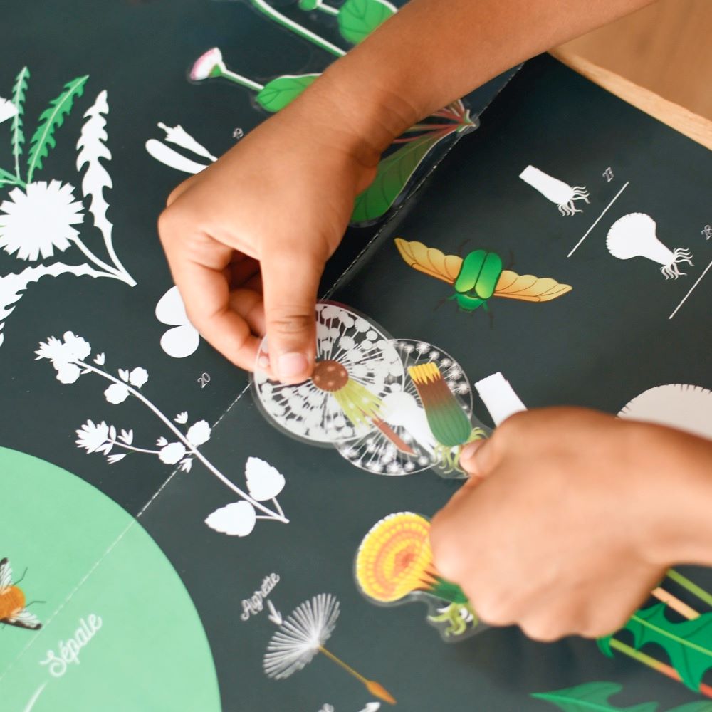 POPPIK Edukativni poster s nalepnicama Otkrića: Botanika 7+