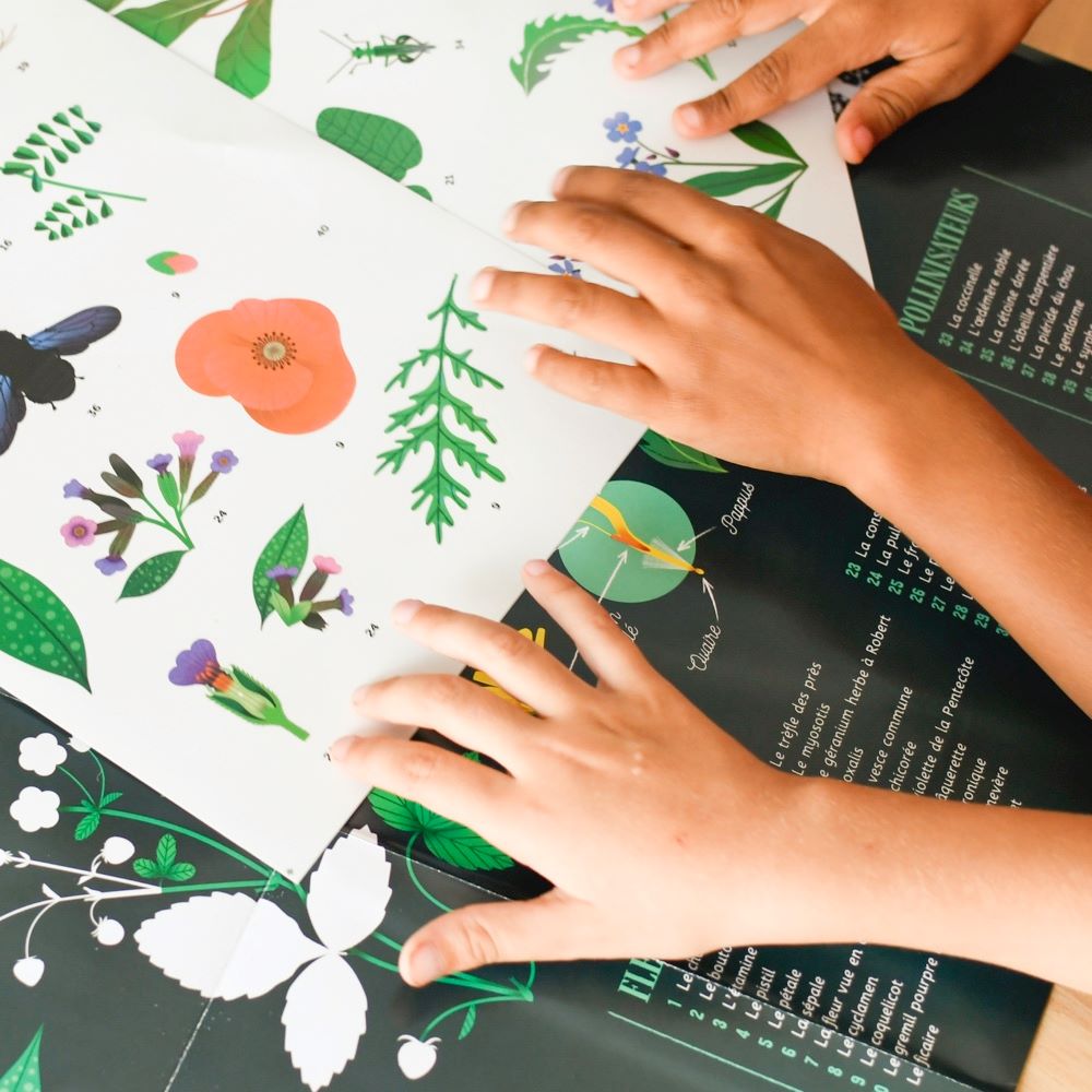 POPPIK Edukativni poster s nalepnicama Otkrića: Botanika 7+