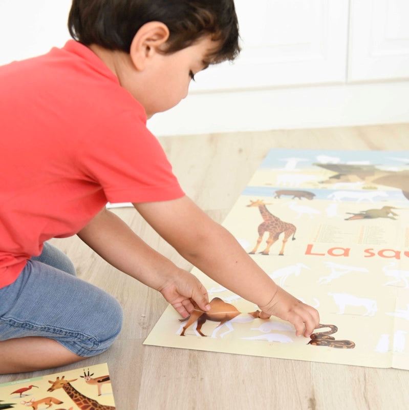Child applying stickers on educational savanna poster with animals.