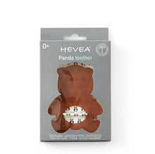 Hevea Panda glodalica