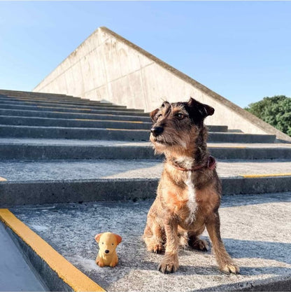 Hevea igračka od prirodne gume - kućni ljubimac, Medena Pudlica
